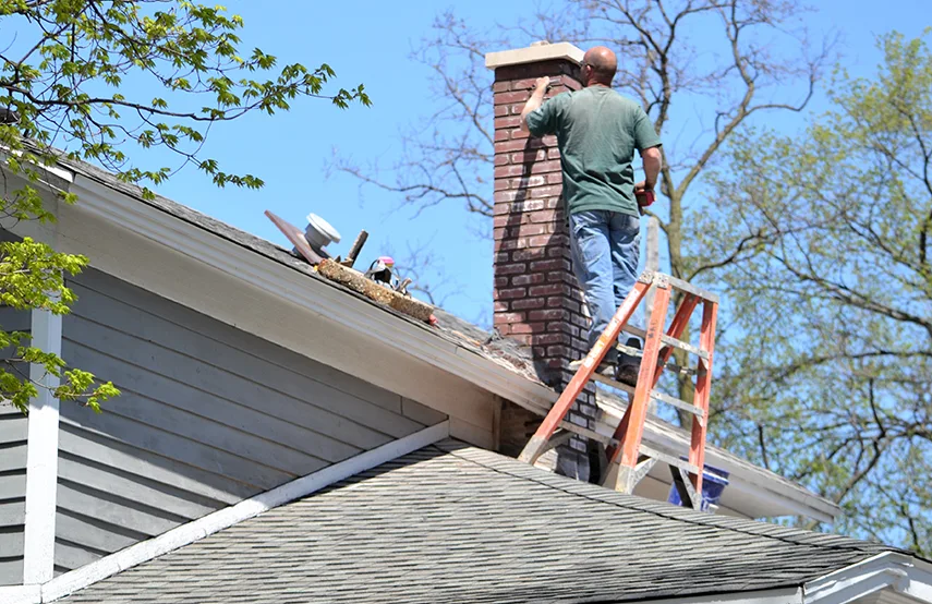 Chimney & Fireplace Inspections Services in Palmetto Bay, FL